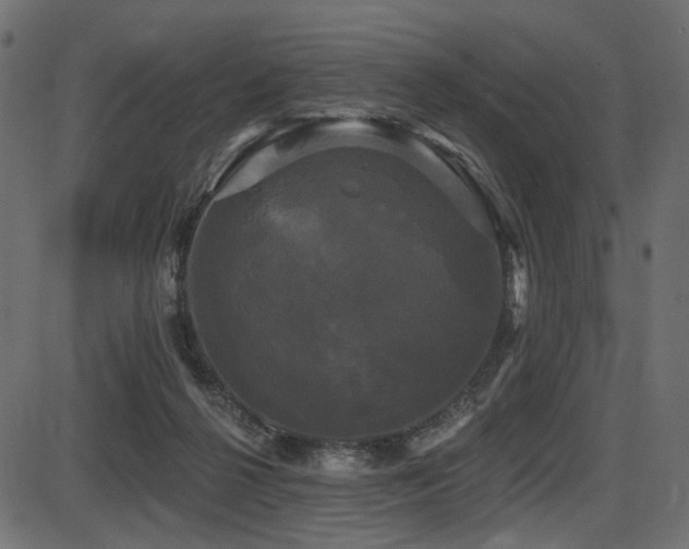 X0000087630264200705031453