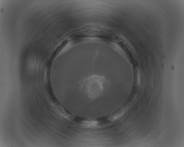 X0000087630266200705031453