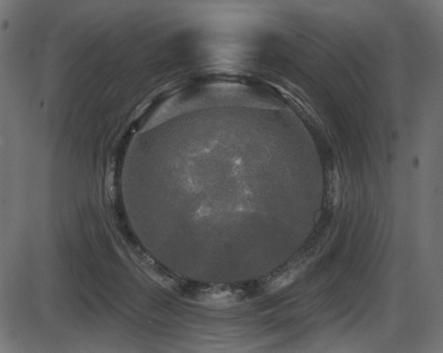 X0000087630267200705031453