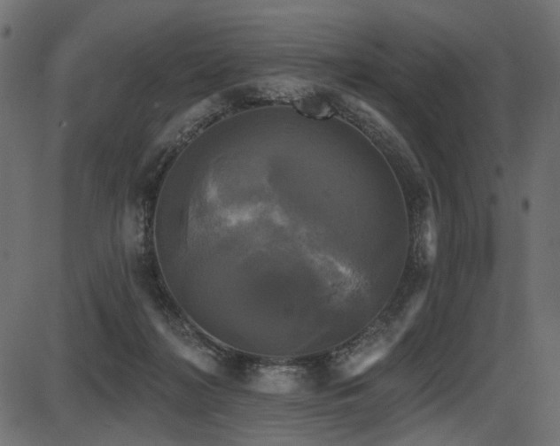 X0000087630268200705031453