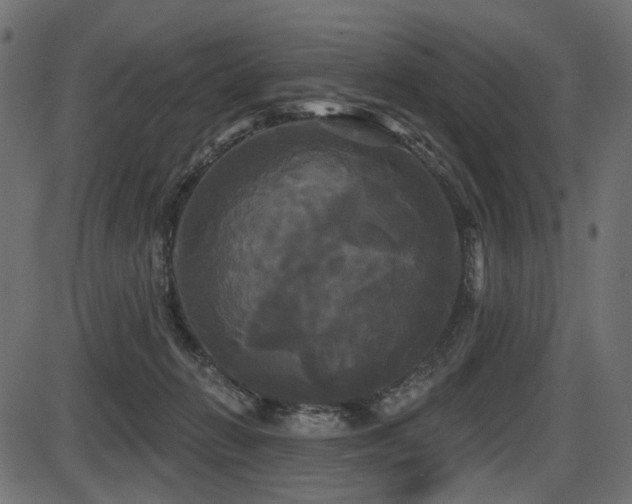 X0000087630270200705031453