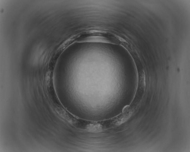 X0000087630271200705031453