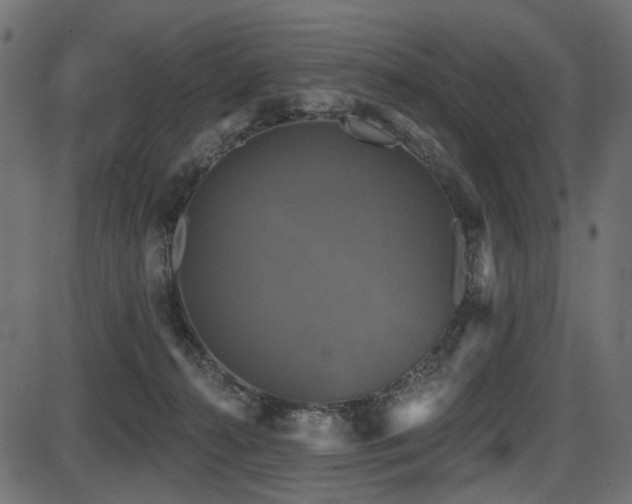 X0000087630272200705031453