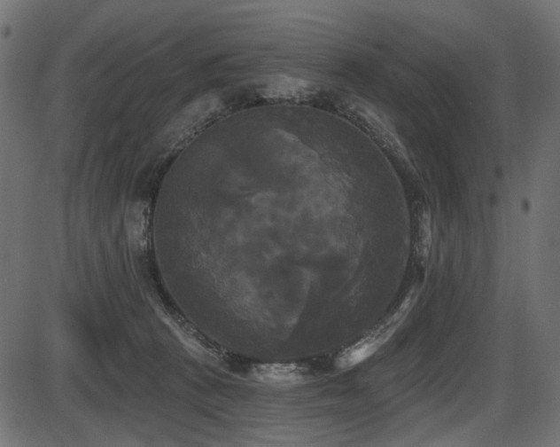 X0000087630273200705031453