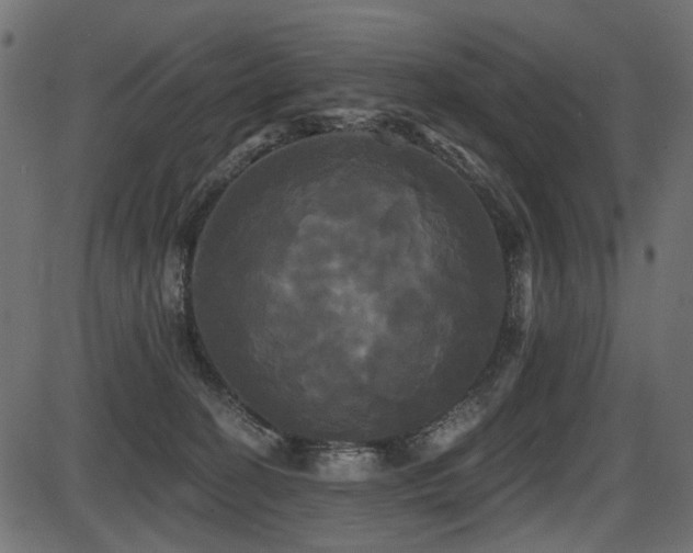 X0000087630274200705031453