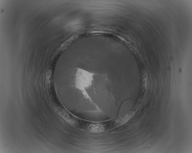 X0000087630275200705031453