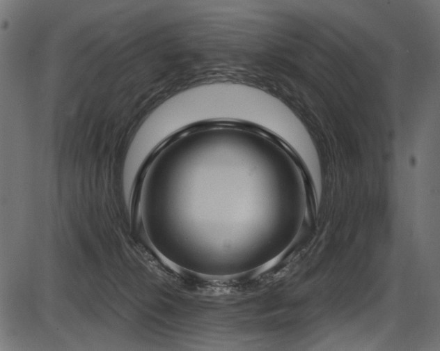 X0000087630276200705031453