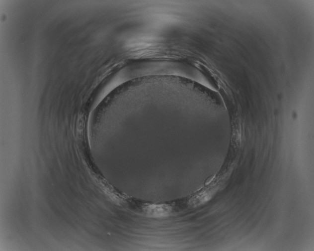 X0000087630277200705031453