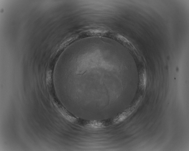 X0000087630278200705031453