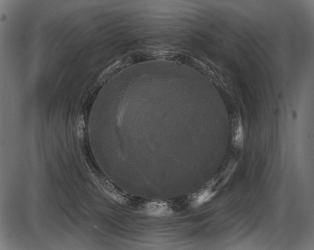 X0000087630279200705031453