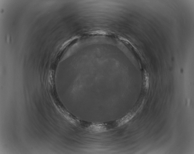 X0000087630280200705031453