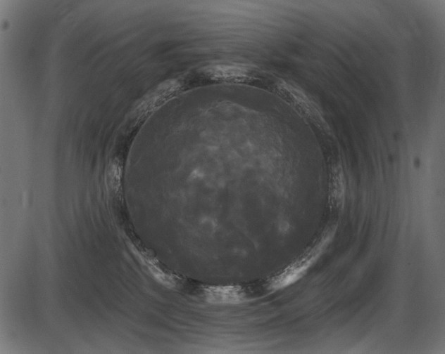 X0000087630281200705031453