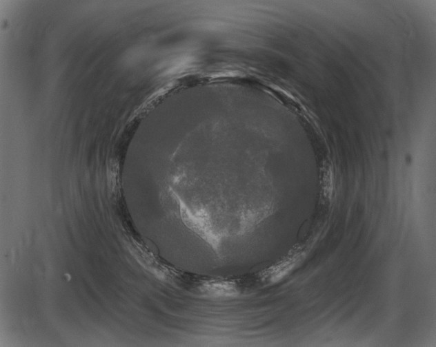 X0000087630283200705031453