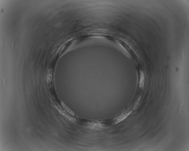 X0000087630284200705031453