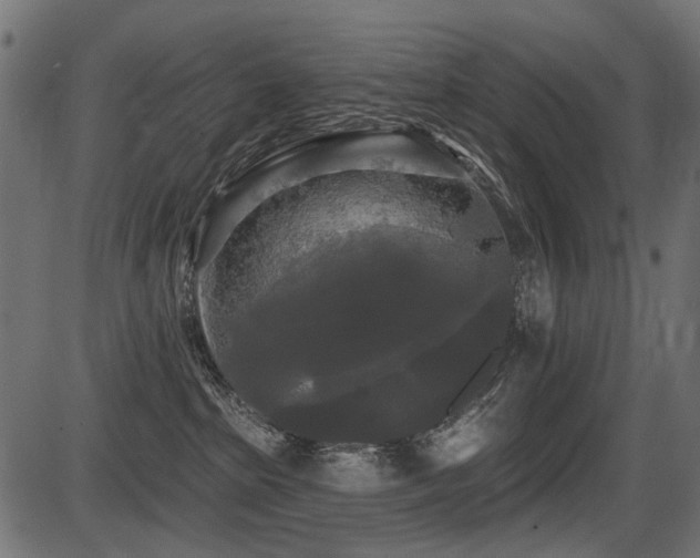 X0000087630285200705031453