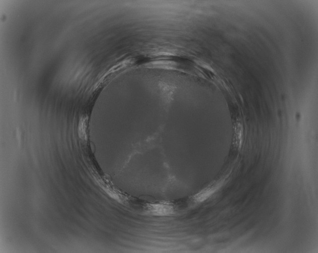 X0000087630286200705031453