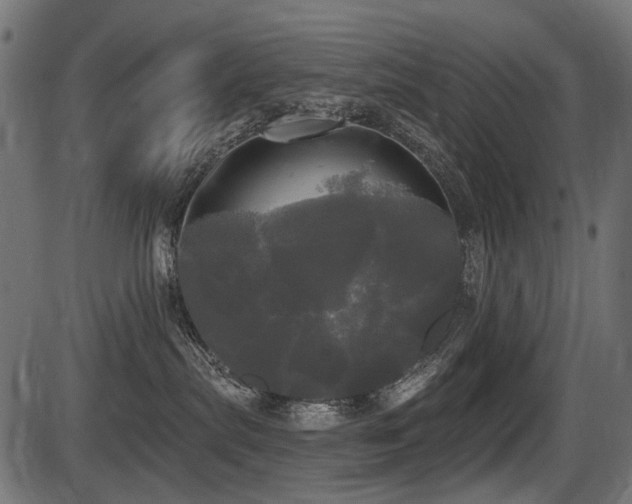 X0000087630287200705031453