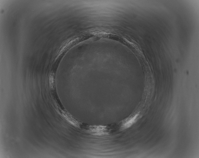 X0000087630288200705031453