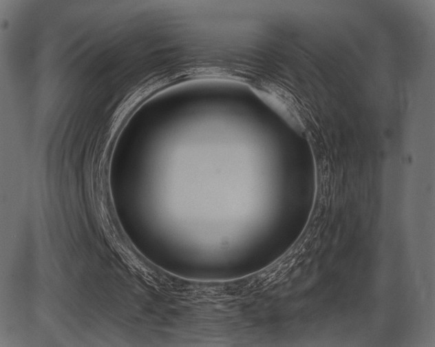 X0000087630289200705031452