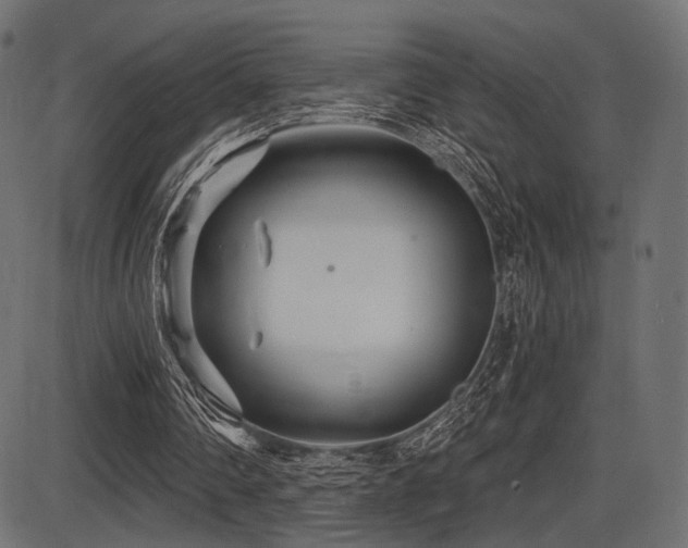 X0000087630290200705031452