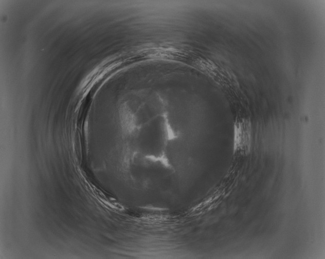 X0000087630291200705031452