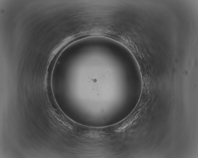 X0000087630292200705031452