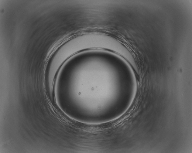 X0000087630293200705031452