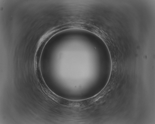 X0000087630294200705031452