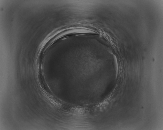 X0000087630295200705031452