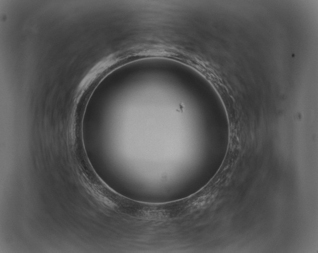 X0000087630296200705031452