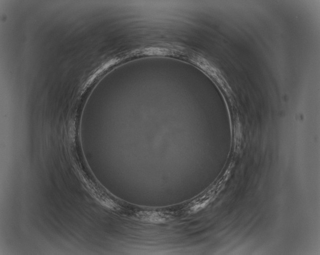 X0000087630297200705031452