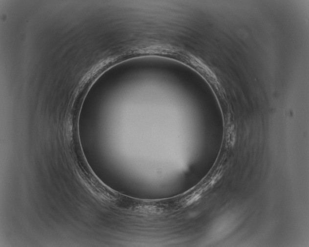 X0000087630298200705031452