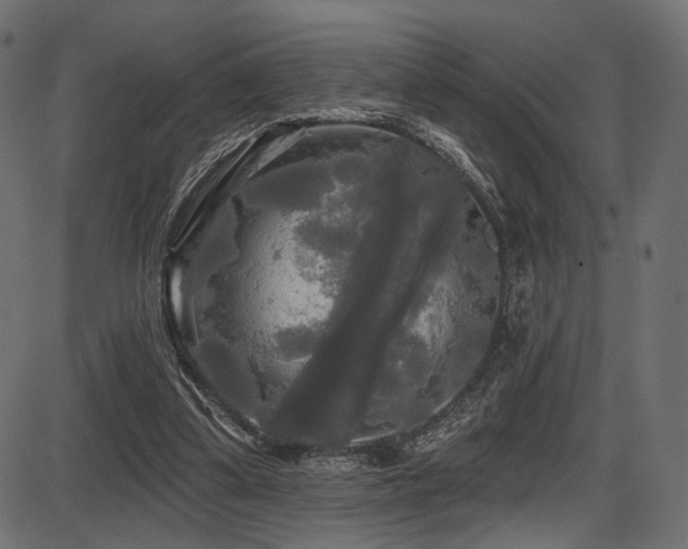 X0000087630299200705031452