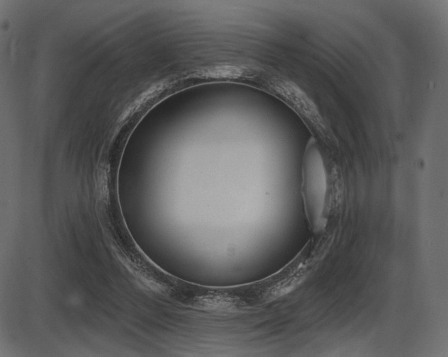 X0000087630300200705031452