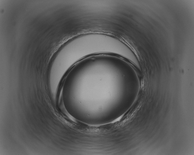 X0000087630301200705031452