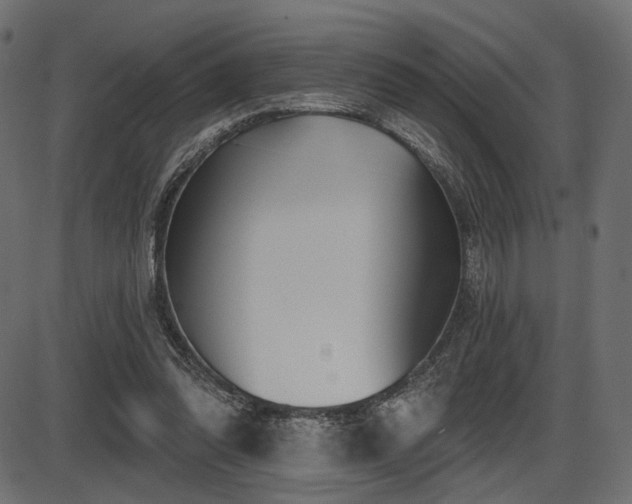 X0000087630302200705031452