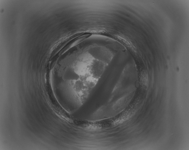 X0000087630303200705031452