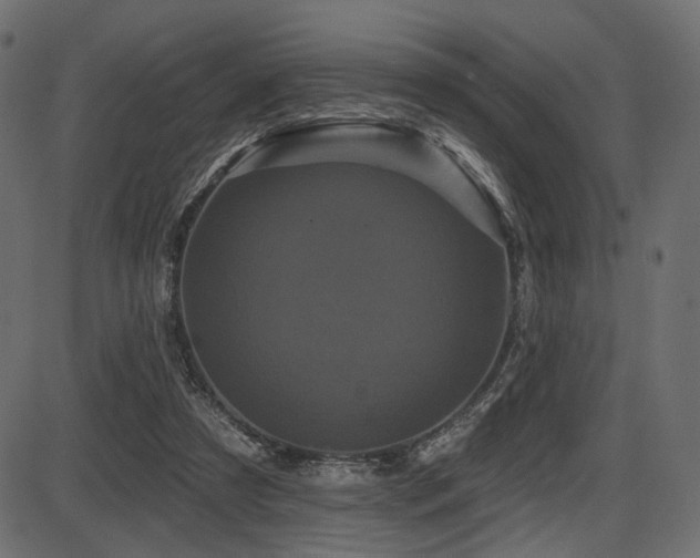 X0000087630305200705031452