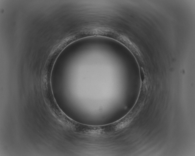 X0000087630306200705031452