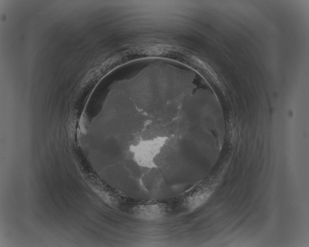 X0000087630307200705031452