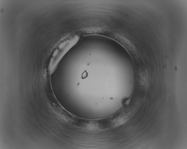 X0000087630308200705031452