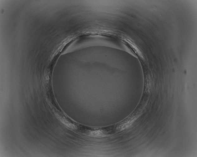 X0000087630309200705031452