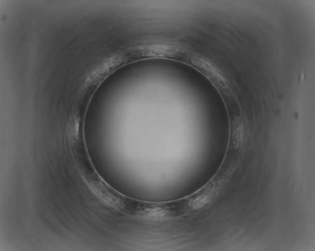 X0000087630310200705031452