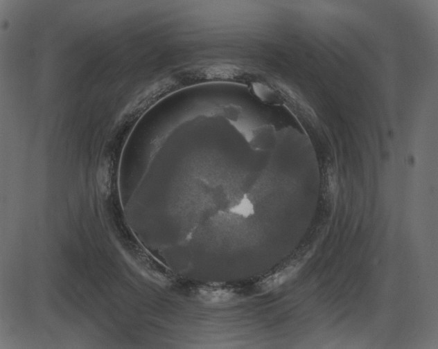 X0000087630311200705031452