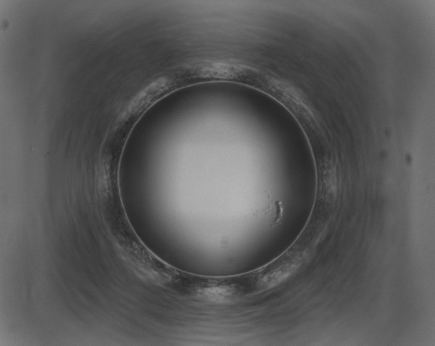 X0000087630312200705031452