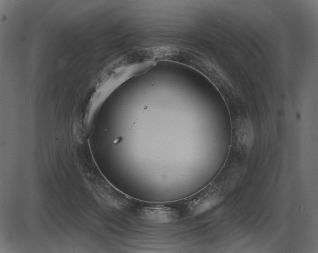 X0000087630316200705031452