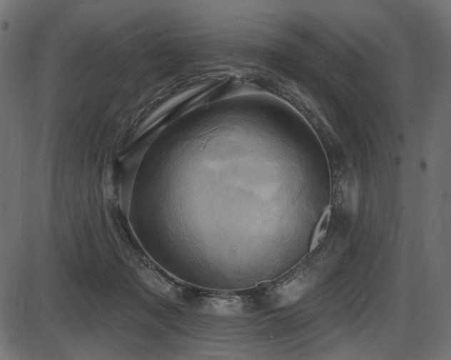 X0000087630317200705031452