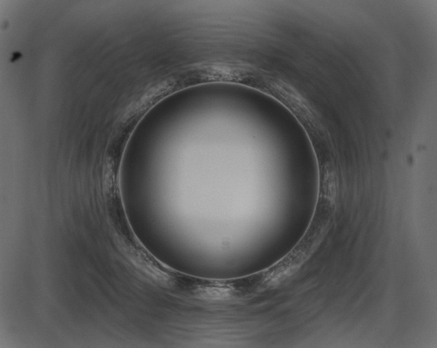 X0000087630318200705031452