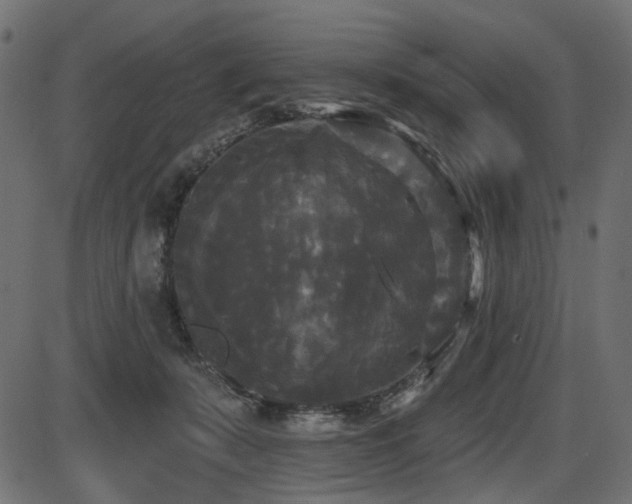 X0000087630319200705031452