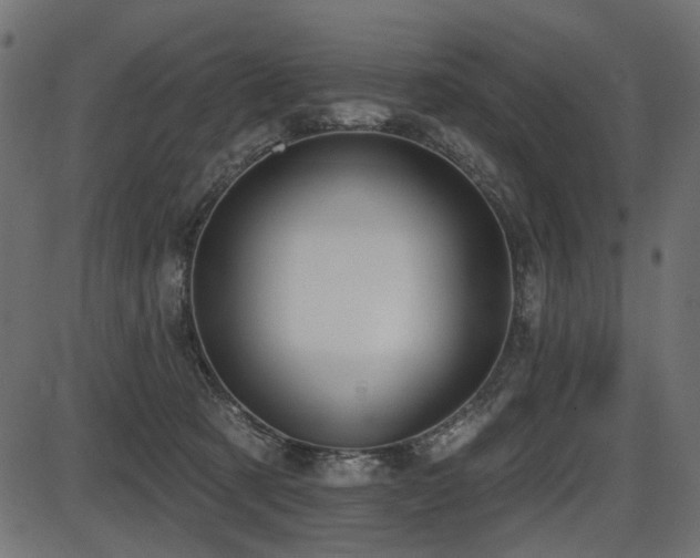 X0000087630321200705031452